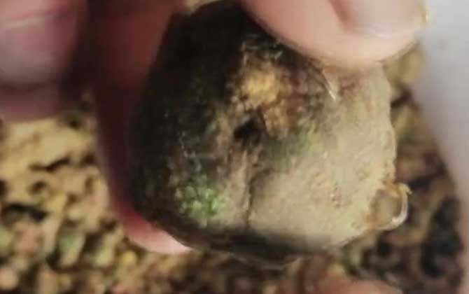 爆炸钩